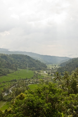 Valley view, Papuan, West Bali